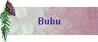 Bubu